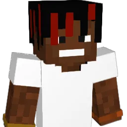 never511 Minecraft avatar bust