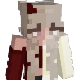 neverkillpigs1's Minecraft skin