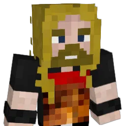 neverluckyxD Minecraft avatar bust