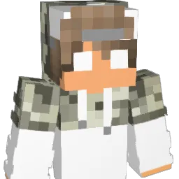 nevs04 Minecraft avatar bust