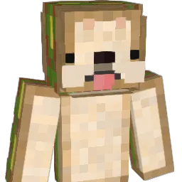 new234 Minecraft avatar bust