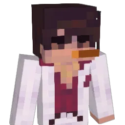 newaccountforme Minecraft avatar bust