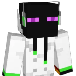 newbz_rule Minecraft avatar bust