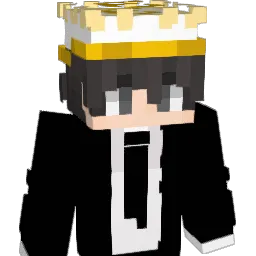 newchunks69 Minecraft avatar bust