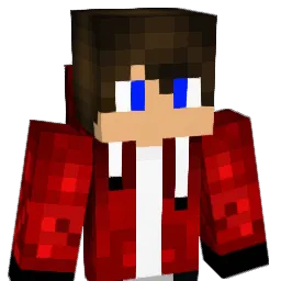 newplayer250 Minecraft avatar bust
