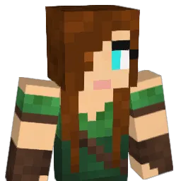 news0n Minecraft avatar bust