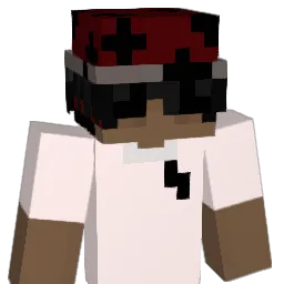 ngolis_ Minecraft avatar bust
