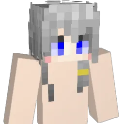 nh2333 Minecraft avatar bust