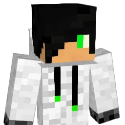 ni101 Minecraft avatar bust
