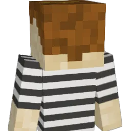 niceguyally Minecraft avatar bust