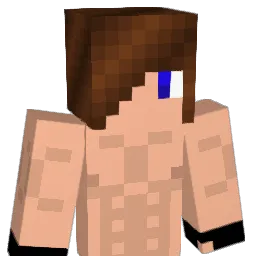 nicho_chico Minecraft avatar bust
