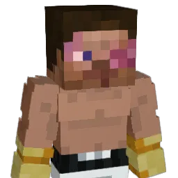 nici2tk Minecraft avatar bust