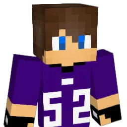nickelfront Minecraft avatar bust