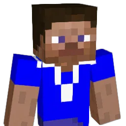 nickle2040 Minecraft avatar bust