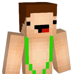 nicklenney Minecraft avatar bust
