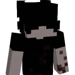 nickles45 Minecraft avatar bust