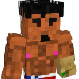 nicko2431 Minecraft avatar bust