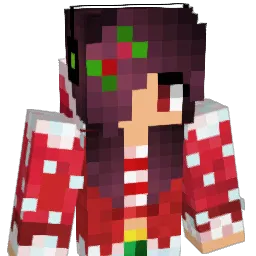 nicloose's Minecraft skin