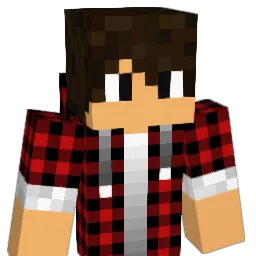 nico1301 Minecraft avatar bust