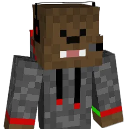 nico456987654ew Minecraft avatar bust