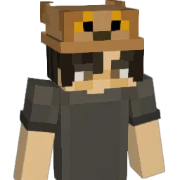 nico_chueca Minecraft avatar bust