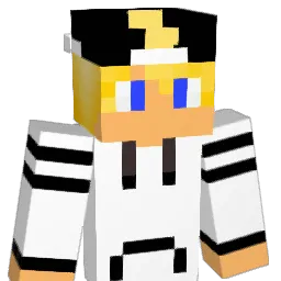 nicoking79 Minecraft avatar bust