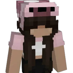 nicolem_tz Minecraft avatar bust