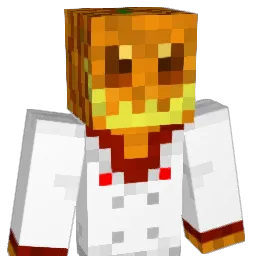 nicoplayer79 Minecraft avatar bust