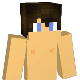 nicowesse Minecraft avatar bust