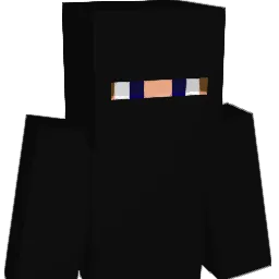 nicoxdry Minecraft avatar bust
