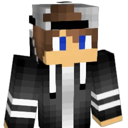 nicsu2005 Minecraft avatar bust