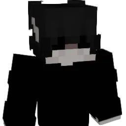 nidi20000 Minecraft avatar bust
