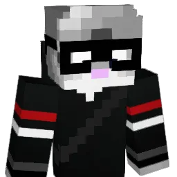 nidjA_11 Minecraft avatar bust
