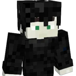 nidmb Minecraft avatar bust