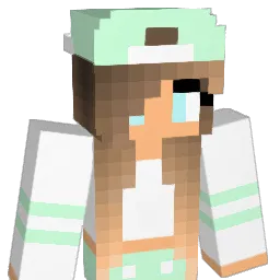niels69 Minecraft avatar bust