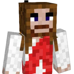 niewiemconapisac Minecraft avatar bust