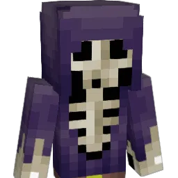 night_assassin Minecraft avatar bust