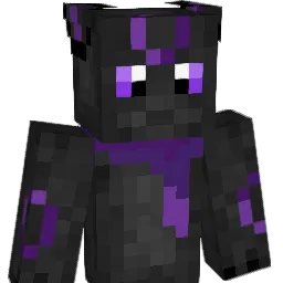 nightshade8 Minecraft avatar bust