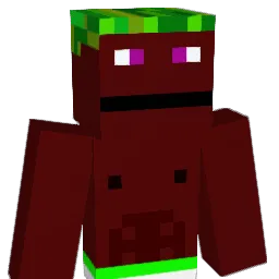 niigamelon Minecraft avatar bust