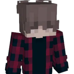 niiwdes Minecraft avatar bust