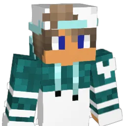 nikothepro44's Minecraft skin