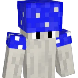 nileb's Minecraft skin