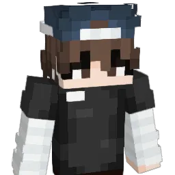 nilng's Minecraft skin