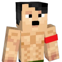nilsfriden69 Minecraft avatar bust