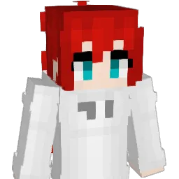 nim_r0d Minecraft avatar bust