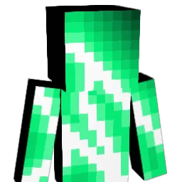 nima609 Minecraft avatar bust