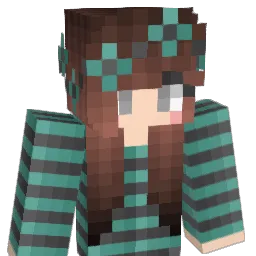 nincar Minecraft avatar bust