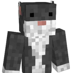 ninchilla Minecraft avatar bust
