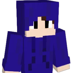 ninek9 Minecraft avatar bust