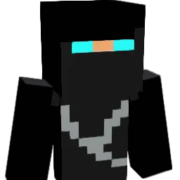 ninja0423 Minecraft avatar bust